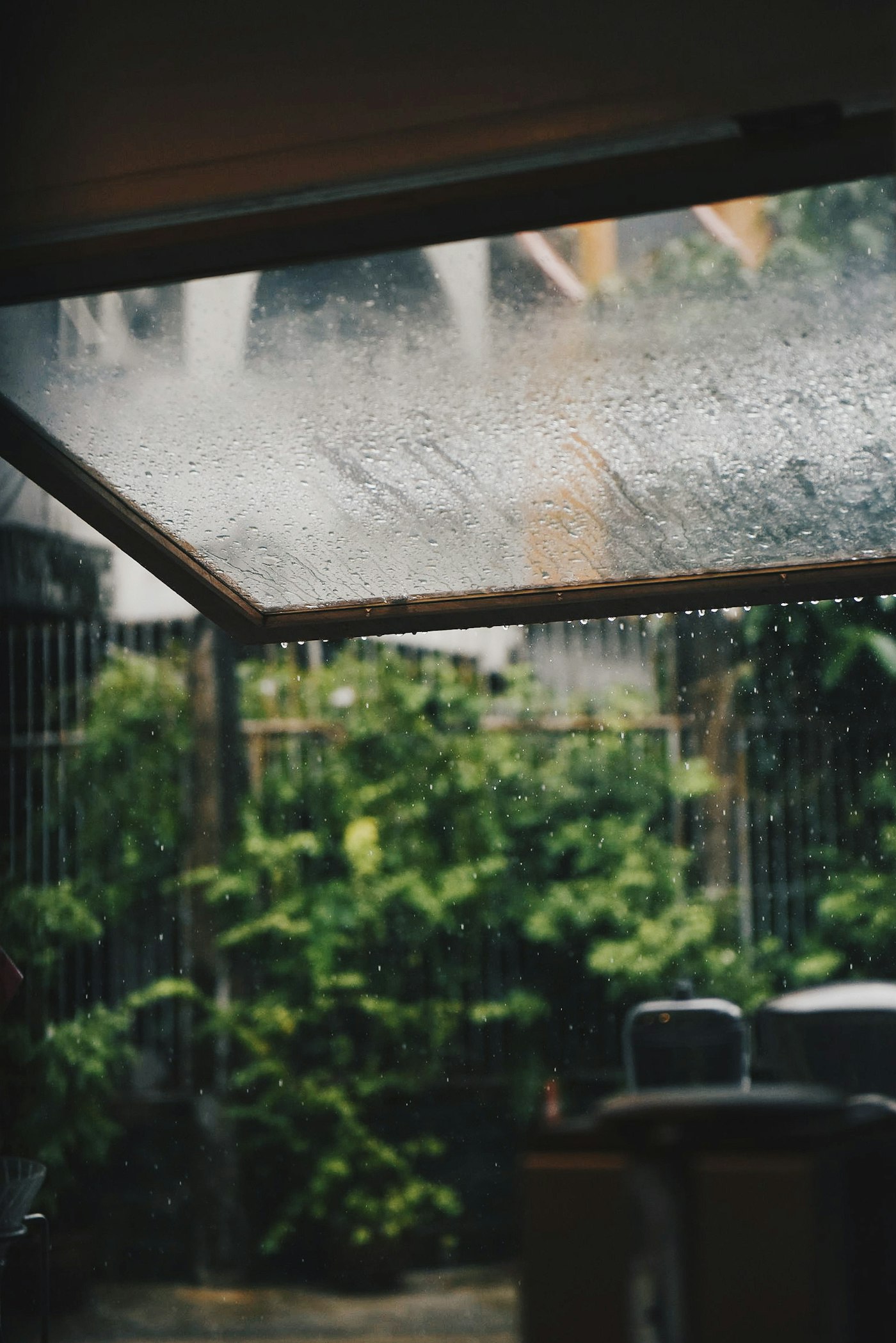 Monsoon Allergies in Mumbai & Thane: why you sneeze more in the rains